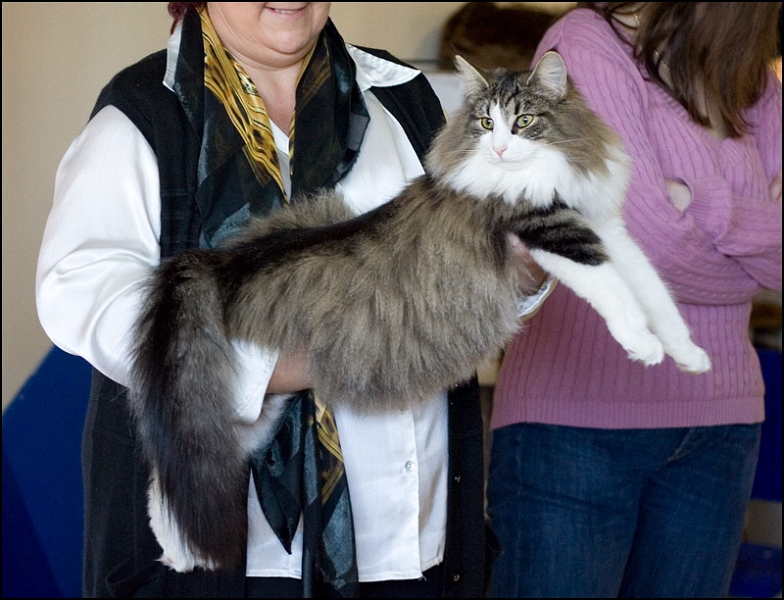 Carlson du Valldall 1.jpg - Carlson du Valldall 